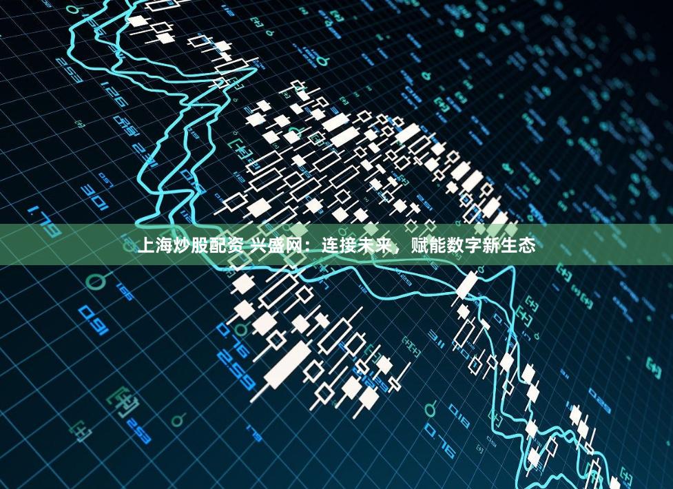 上海炒股配资 兴盛网：连接未来，赋能数字新生态